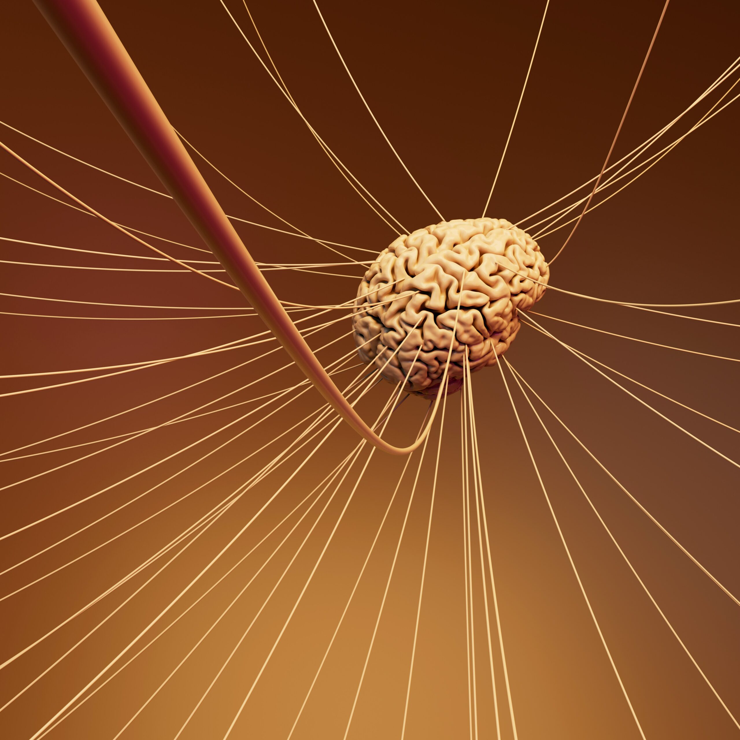 Humans, AI and the dividing line between them